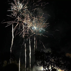 亚洲av无码成人片
