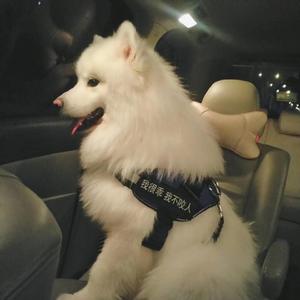 亚洲av无码成人片
